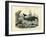 Mammals, C.1860-null-Framed Giclee Print