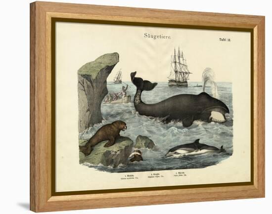 Mammals, C.1860-null-Framed Premier Image Canvas