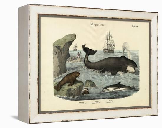 Mammals, C.1860-null-Framed Premier Image Canvas