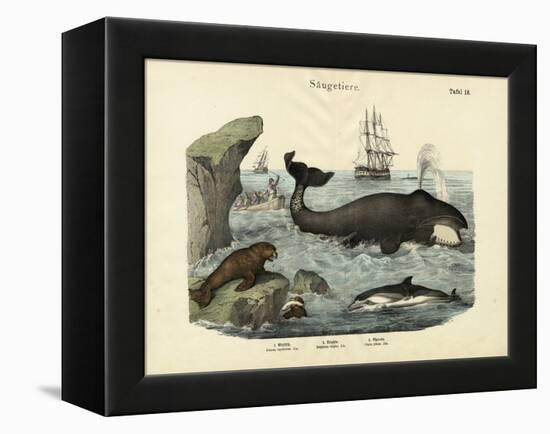 Mammals, C.1860-null-Framed Premier Image Canvas