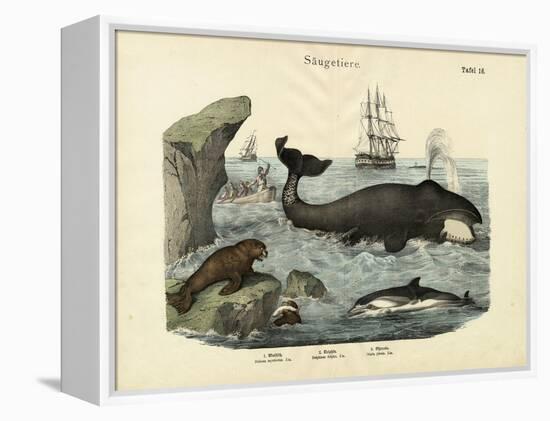 Mammals, C.1860-null-Framed Premier Image Canvas