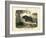 Mammals, C.1860-null-Framed Giclee Print