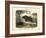 Mammals, C.1860-null-Framed Giclee Print