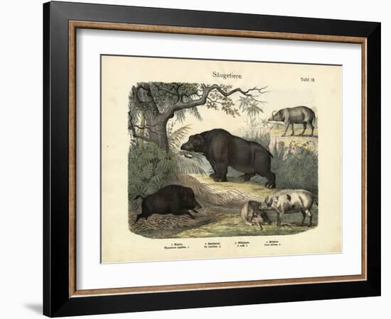 Mammals, C.1860-null-Framed Giclee Print