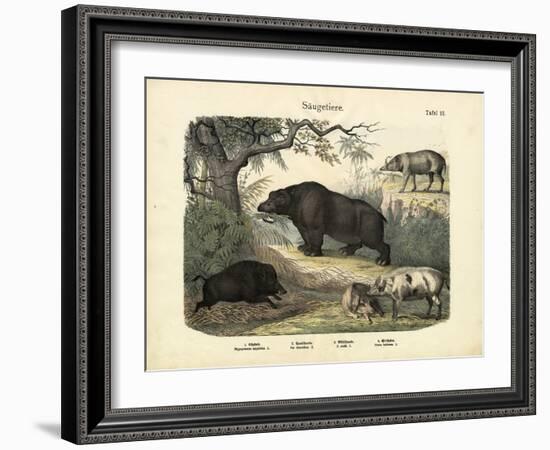 Mammals, C.1860-null-Framed Giclee Print