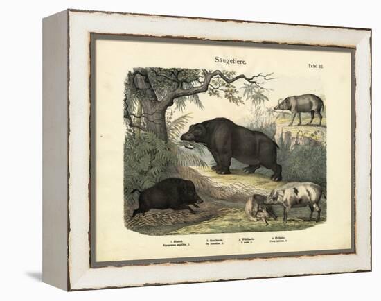 Mammals, C.1860-null-Framed Premier Image Canvas