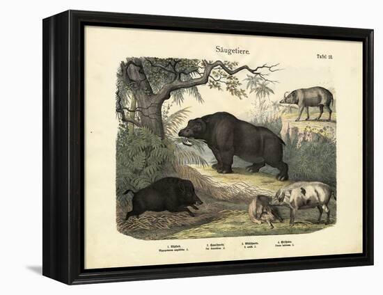 Mammals, C.1860-null-Framed Premier Image Canvas