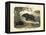 Mammals, C.1860-null-Framed Premier Image Canvas