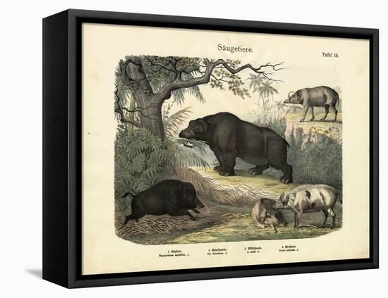 Mammals, C.1860-null-Framed Premier Image Canvas