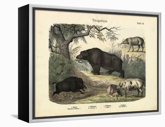 Mammals, C.1860-null-Framed Premier Image Canvas