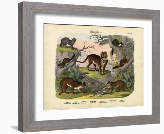 Mammals, C.1860-null-Framed Giclee Print