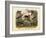 Mammals, C.1860-null-Framed Giclee Print