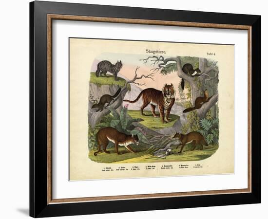 Mammals, C.1860-null-Framed Giclee Print