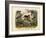 Mammals, C.1860-null-Framed Giclee Print