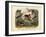 Mammals, C.1860-null-Framed Giclee Print