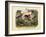 Mammals, C.1860-null-Framed Giclee Print