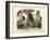 Mammals, C.1860-null-Framed Giclee Print