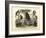 Mammals, C.1860-null-Framed Giclee Print