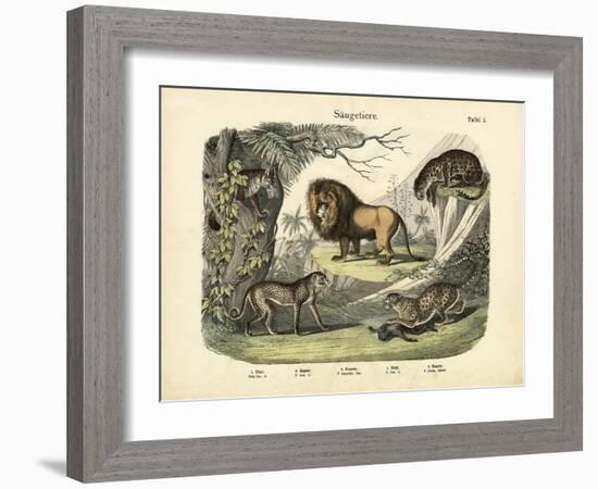 Mammals, C.1860-null-Framed Giclee Print