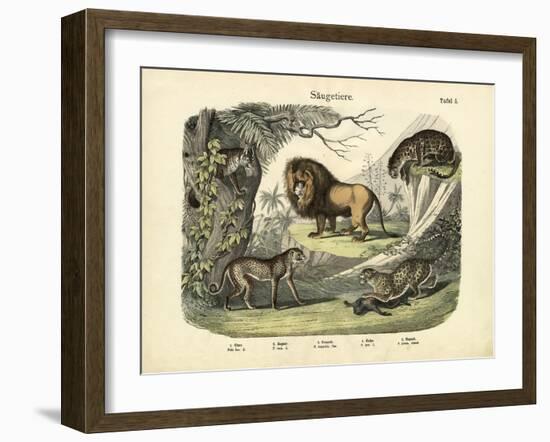 Mammals, C.1860-null-Framed Giclee Print