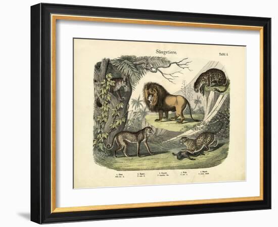 Mammals, C.1860-null-Framed Giclee Print