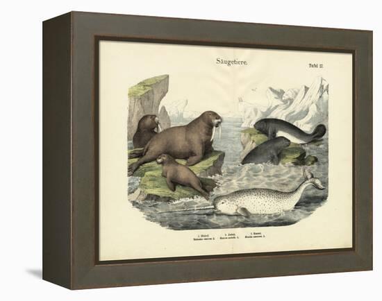 Mammals, C.1860-null-Framed Premier Image Canvas