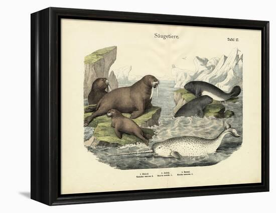 Mammals, C.1860-null-Framed Premier Image Canvas