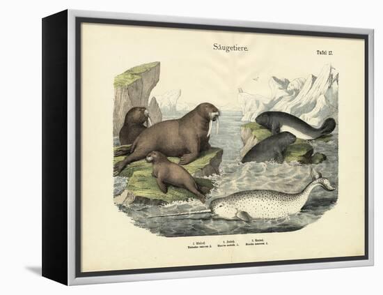 Mammals, C.1860-null-Framed Premier Image Canvas