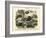 Mammals, C.1860-null-Framed Giclee Print