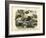 Mammals, C.1860-null-Framed Giclee Print