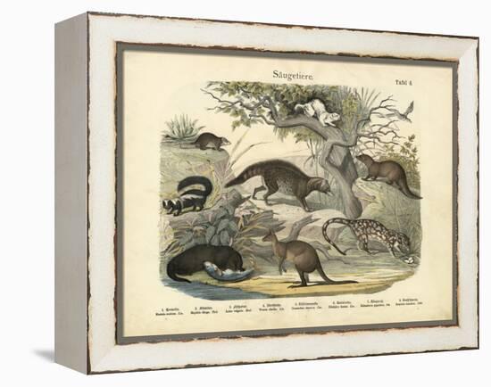 Mammals, C.1860-null-Framed Premier Image Canvas