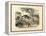 Mammals, C.1860-null-Framed Premier Image Canvas