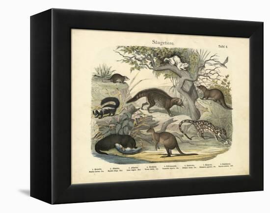 Mammals, C.1860-null-Framed Premier Image Canvas