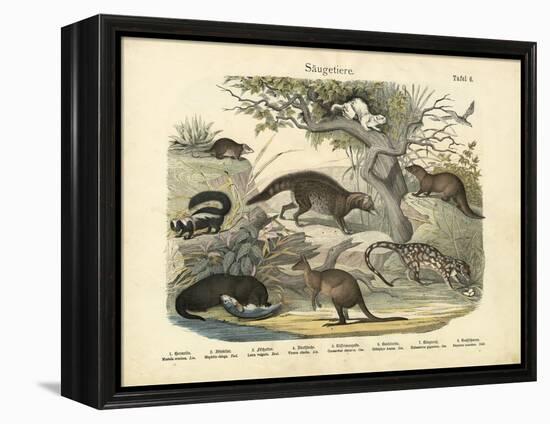 Mammals, C.1860-null-Framed Premier Image Canvas