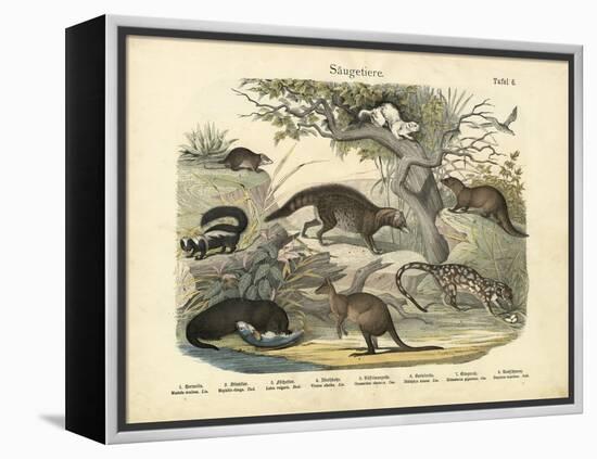 Mammals, C.1860-null-Framed Premier Image Canvas