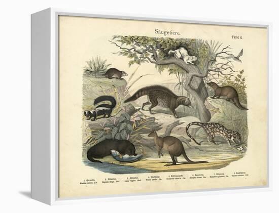 Mammals, C.1860-null-Framed Premier Image Canvas