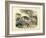 Mammals, C.1860-null-Framed Giclee Print