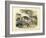 Mammals, C.1860-null-Framed Giclee Print