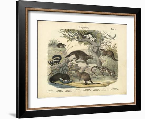 Mammals, C.1860-null-Framed Giclee Print