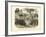 Mammals, C.1860-null-Framed Giclee Print