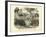 Mammals, C.1860-null-Framed Giclee Print