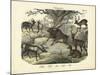 Mammals, C.1860-null-Mounted Giclee Print