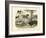 Mammals, C.1860-null-Framed Giclee Print