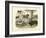 Mammals, C.1860-null-Framed Giclee Print