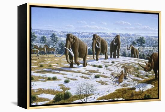 Mammals of the Pleistocene Era-Mauricio Anton-Framed Premier Image Canvas