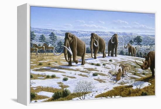Mammals of the Pleistocene Era-Mauricio Anton-Framed Premier Image Canvas