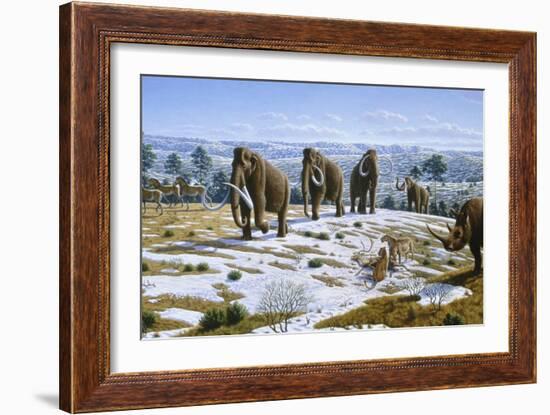 Mammals of the Pleistocene Era-Mauricio Anton-Framed Premium Photographic Print