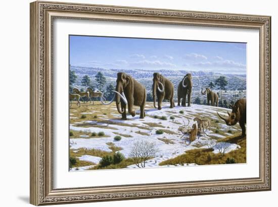 Mammals of the Pleistocene Era-Mauricio Anton-Framed Photographic Print