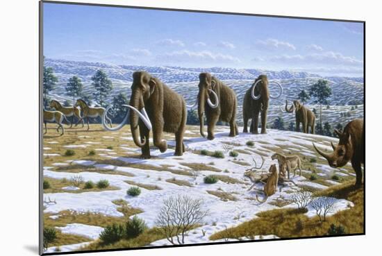 Mammals of the Pleistocene Era-Mauricio Anton-Mounted Photographic Print