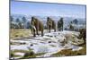 Mammals of the Pleistocene Era-Mauricio Anton-Mounted Photographic Print